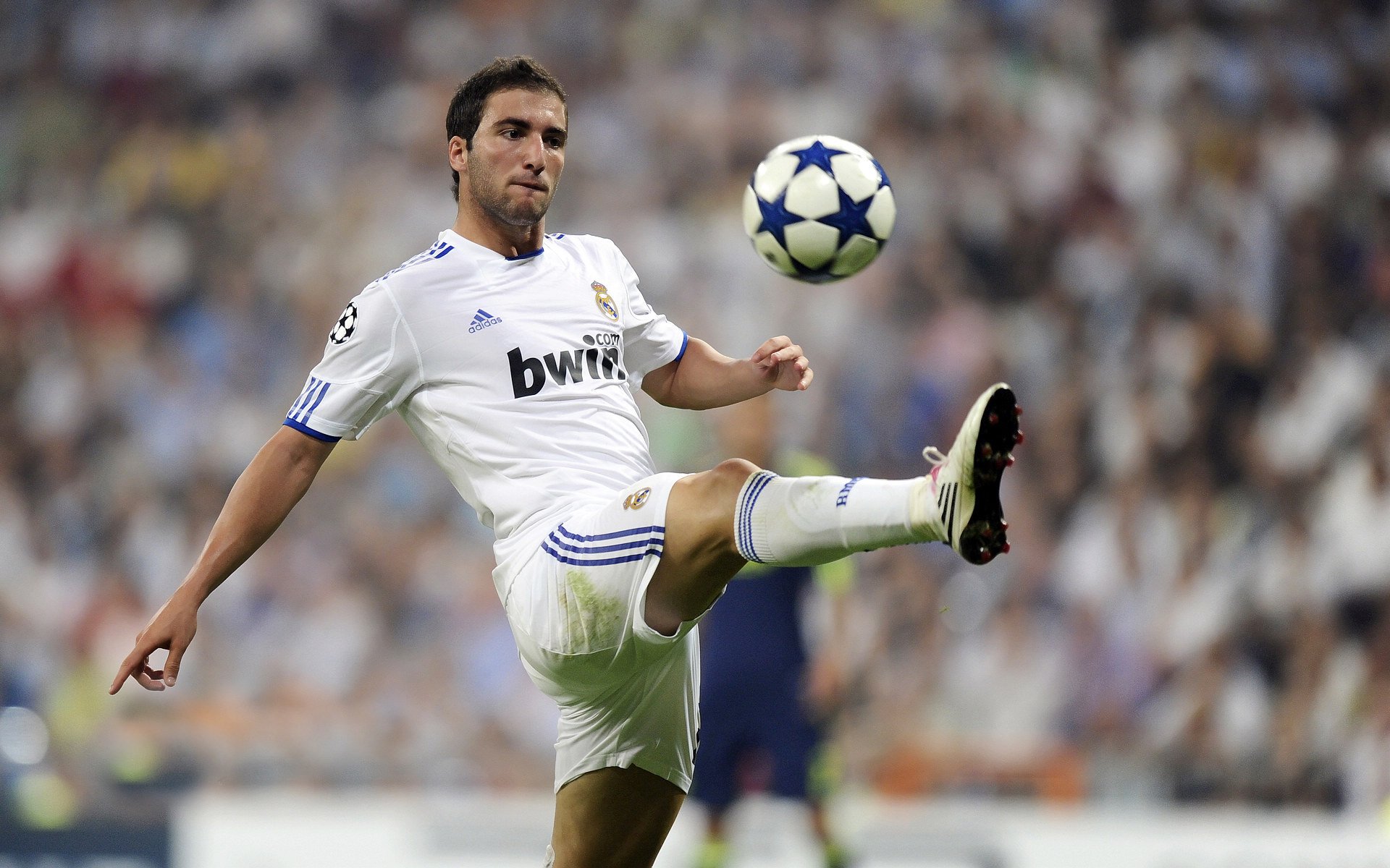 开云电竞登录入口-哥伦比亚马术协会建立马匹基因数据库，促进马匹选育与训练。，哥伦比亚 马孔多